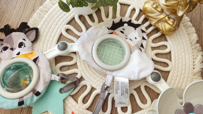 Arche d'éveil Bébé Tiny Love - photo numéro 3