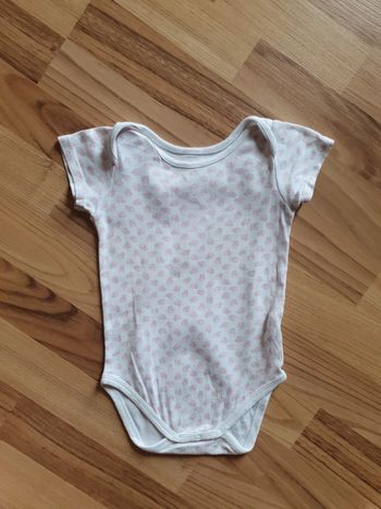 bodie rose 18 mois
