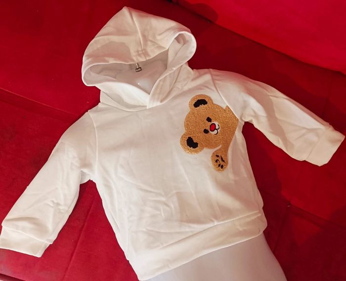 Sweat 9/12 mois neuf - photo numéro 2