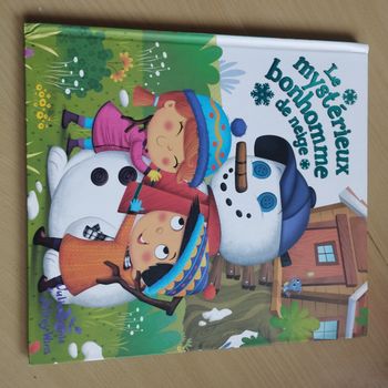 Livre enfants Le mystérieux bonhomme de neige