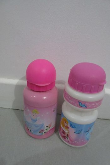 gourdes princesses Disney