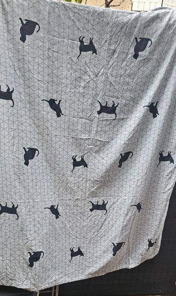🪷parure de lit 1 place chat