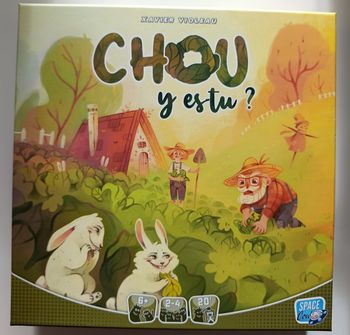 Jeu " Chou y es-tu?" En excellent état
