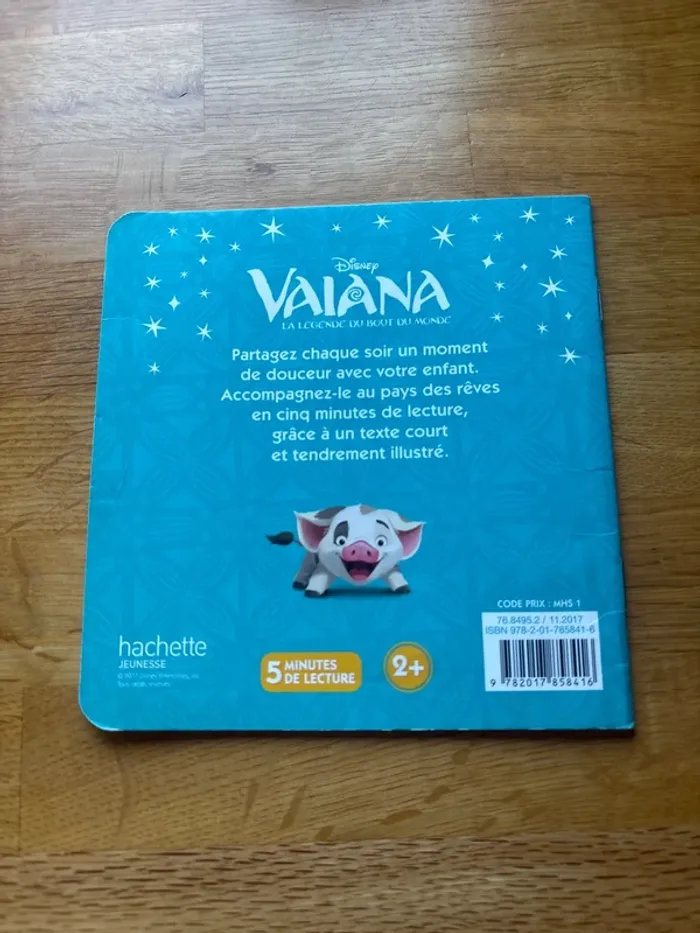 Livre Disney Vaiana - photo numéro 2