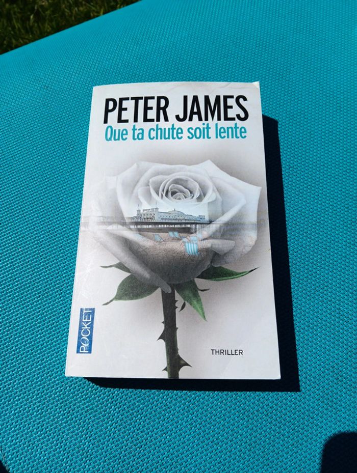 Thriller péter James que ta chute soit lente