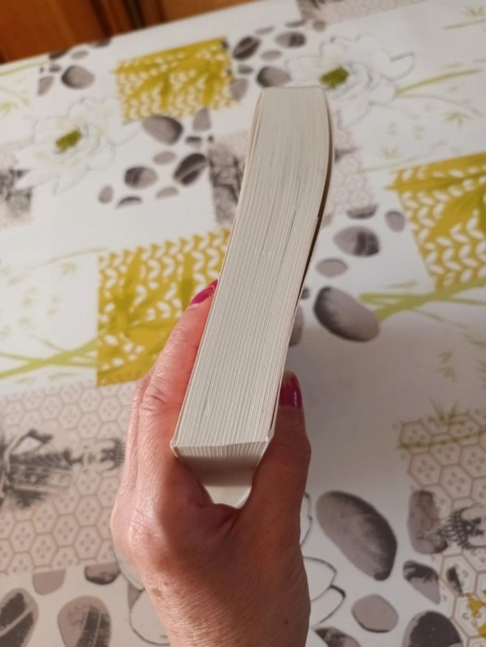 Livre : L'étoile de la liberté de Oriane Lapouge - photo numéro 5