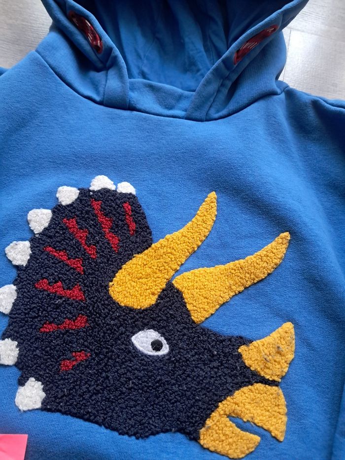 Sweat capuche - photo numéro 2