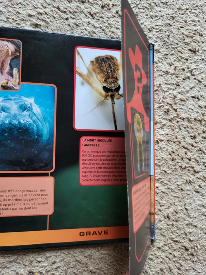 Livre documentaire enfants Zoom sur les animaux d'Afrique - photo numéro 14