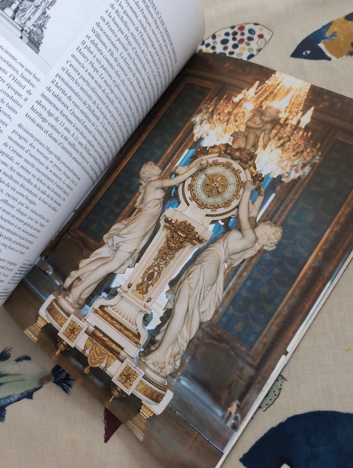 Beaux-arts magazine Ambassade de Pologne - photo numéro 4