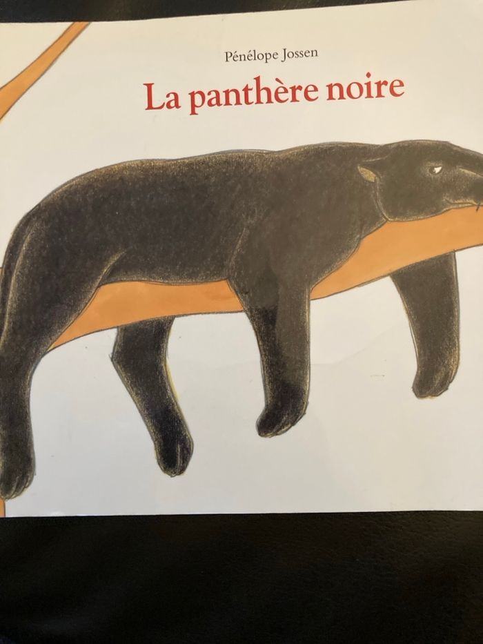 Livre « la panthère noire »