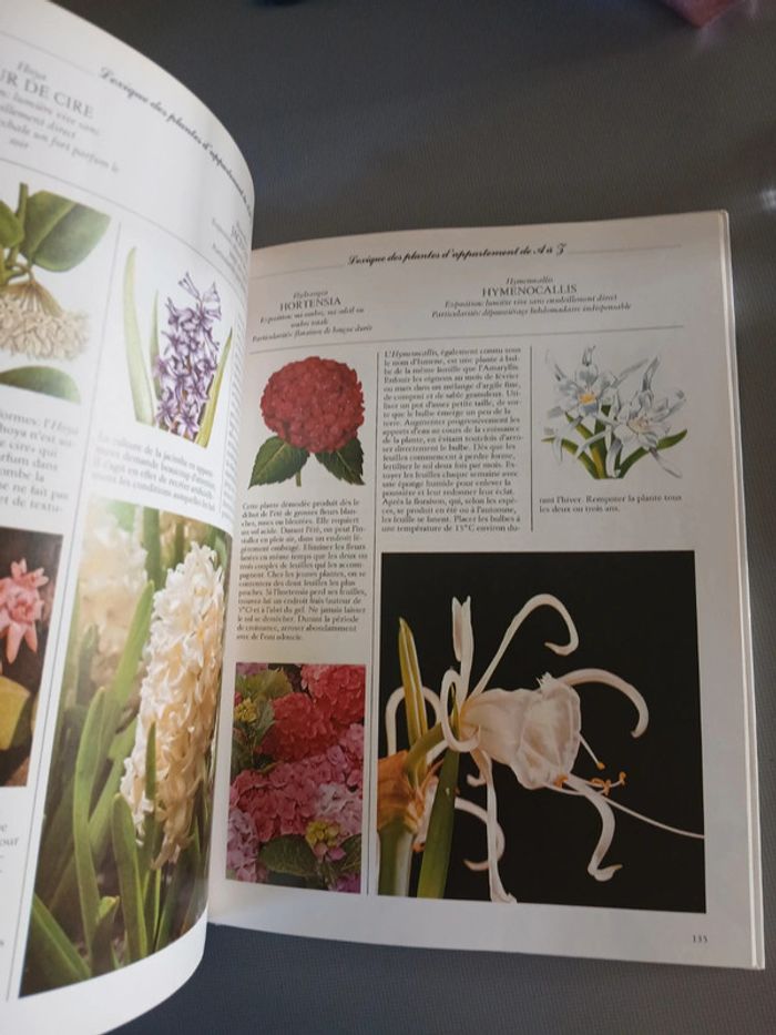 🍍 Livre Les plantes d intérieur - photo numéro 5