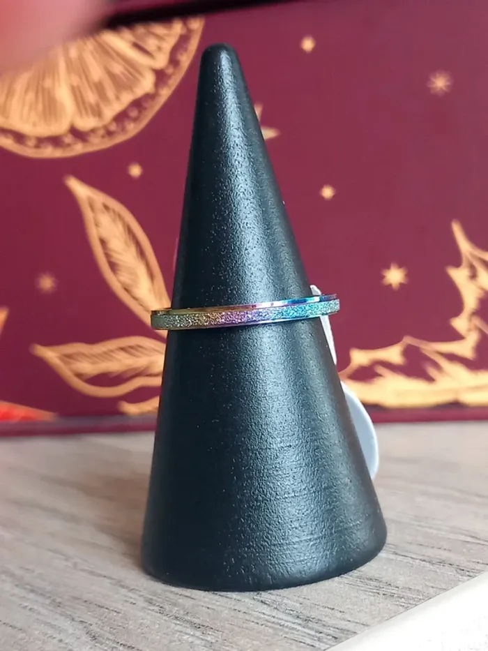 Bague en acier inoxydable taille 15.3 (48)