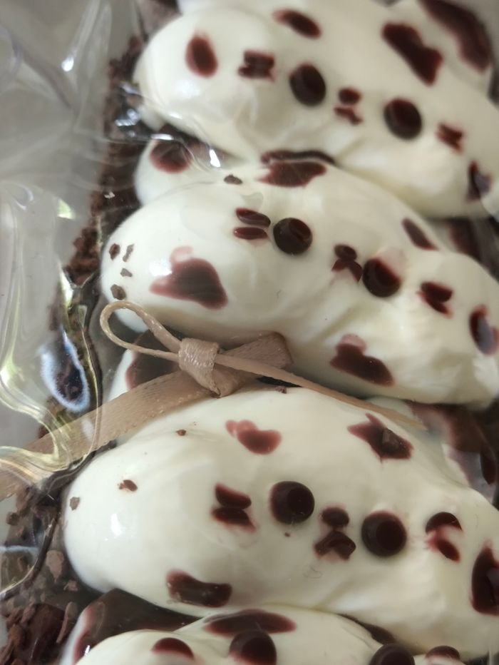 Squishy chats - photo numéro 7