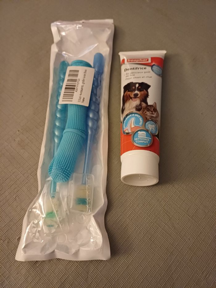 Brosse à dents pour chien