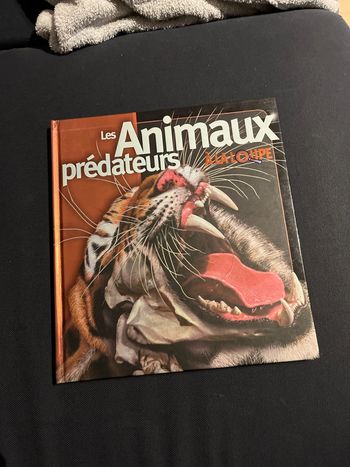 Livre pour enfants les animaux prédateurs à la loupe