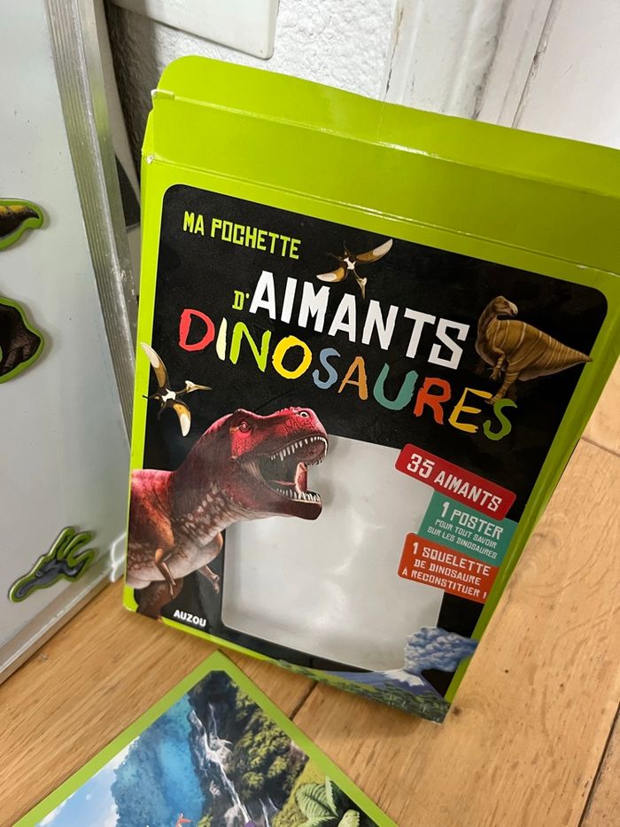 Ma pochettes Aimants et poster Dinosaures 35 aimants - photo numéro 5