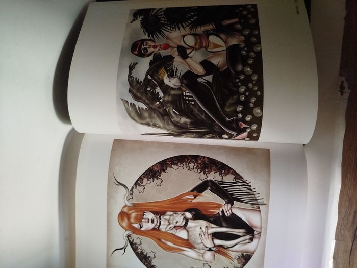 Juxtapoz Erotica - Art book - photo numéro 9