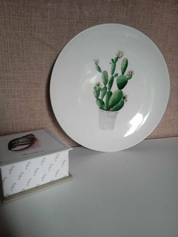 Assiette murale cactus 🌵 Marque wonder wall