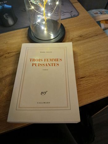 LIVRE TROIS FEMMES PUISSANTE DE MARIE NDIAYE