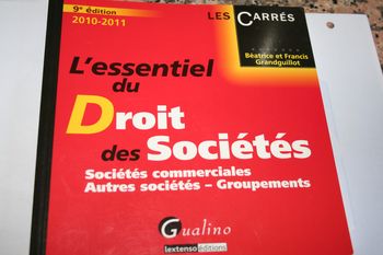 Livre l'essentiel du droit des sociétés