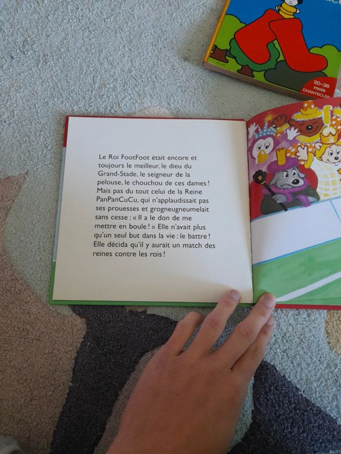 Le roi footfoot - photo numéro 4