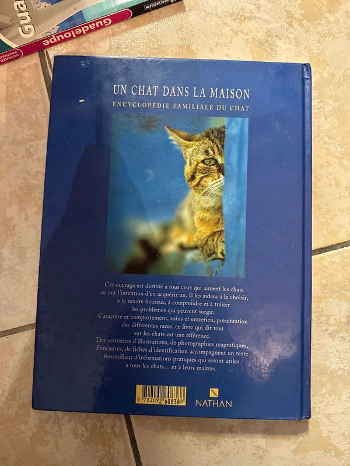 Un chat dans la maison - photo numéro 2
