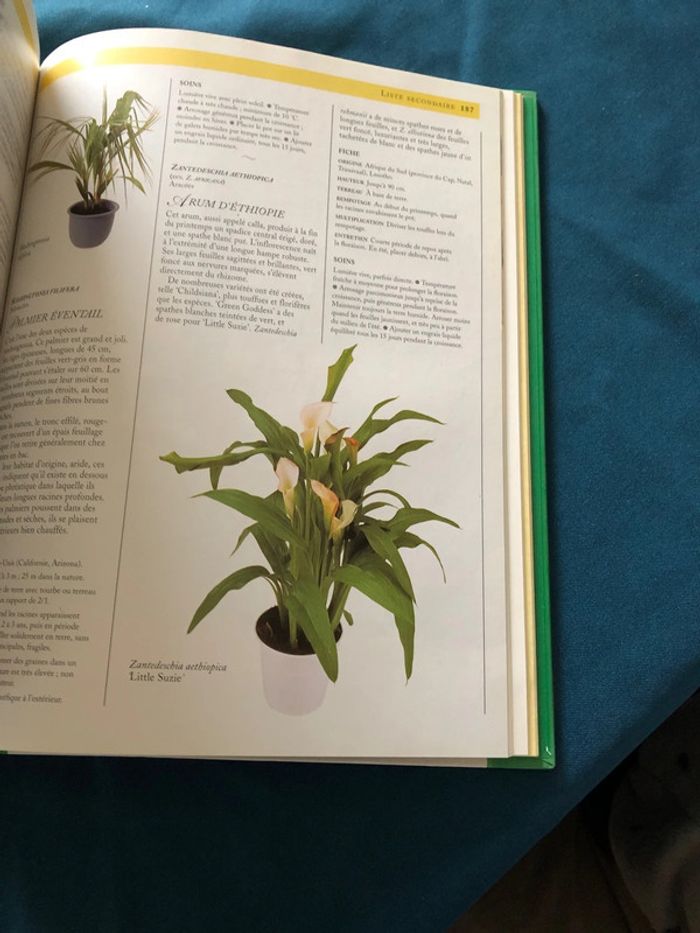 Livre Encyclopédie pratique des plantes d’intérieur - photo numéro 3