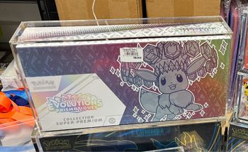 Lot de 2 Protection acrylique upc evolution prismatique