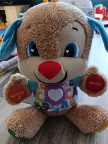 L'ourson puppy