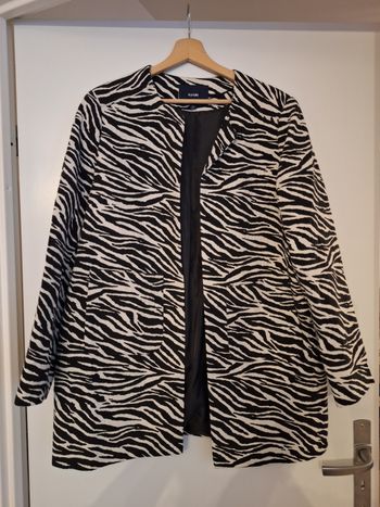 Veste kiabi zèbre