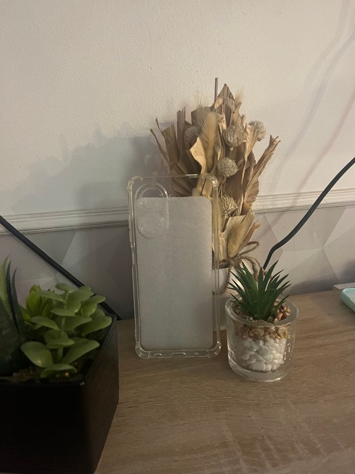 Coque - photo numéro 2