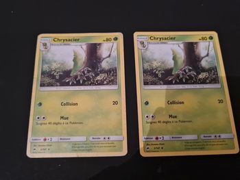 Carte pokemon chrysacier