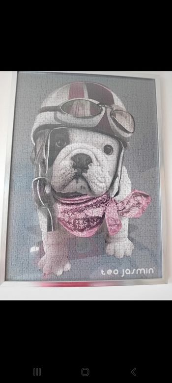 Puzzle 1000 pièces bouledogue