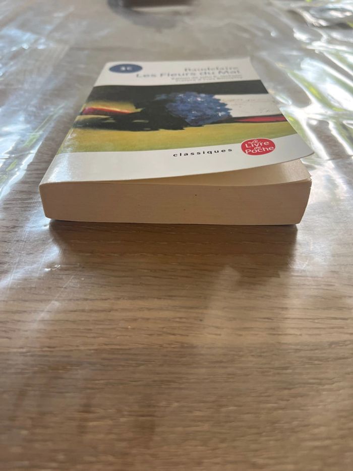 Livre les fleurs du mal - photo numéro 2