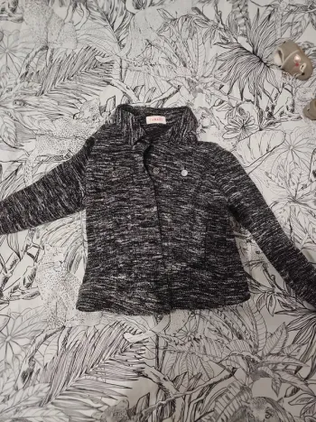 Veste