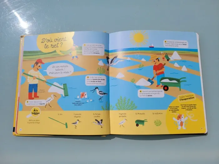 Livre Dokéo 🔦 Je comprend comment ça marche 💡 - photo numéro 4