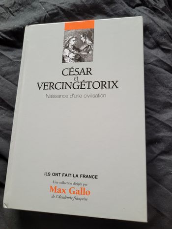 César et vercingetorix