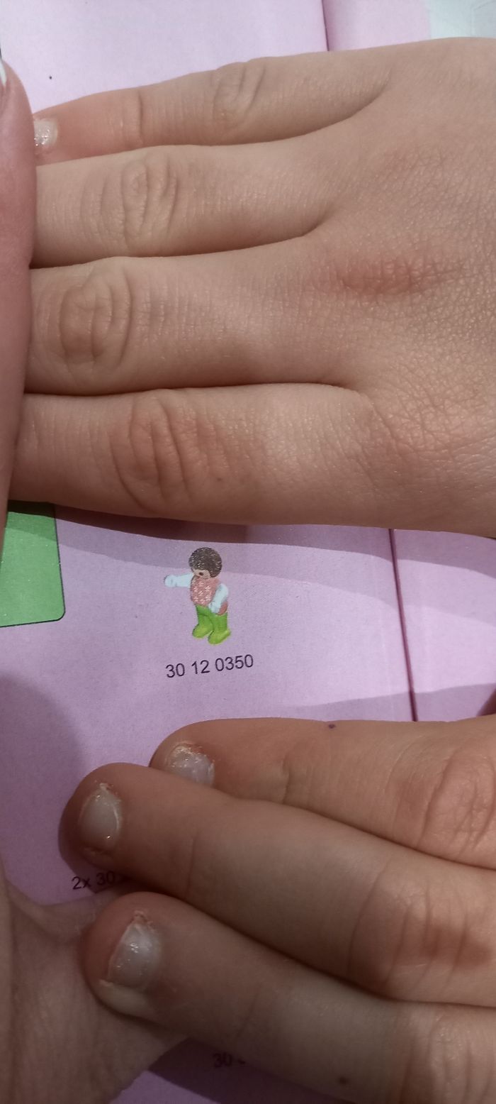 Château manoir royal 6849 playmobil - photo numéro 7