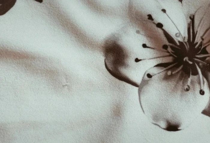 Robe courte manches 3/4 imprimé fleurs taille 36 - photo numéro 8