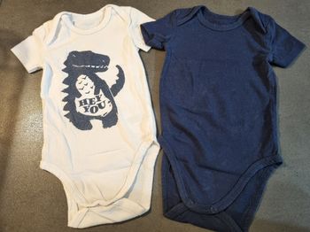 Lot 2 bodies manches courtes 9 mois
