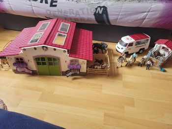 Haras schleich