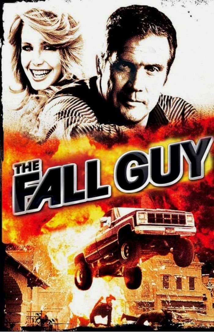 Serie TV L'Homme qui tombe à pic