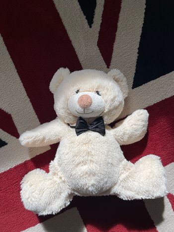 Noeud papillon garçon 10 ans