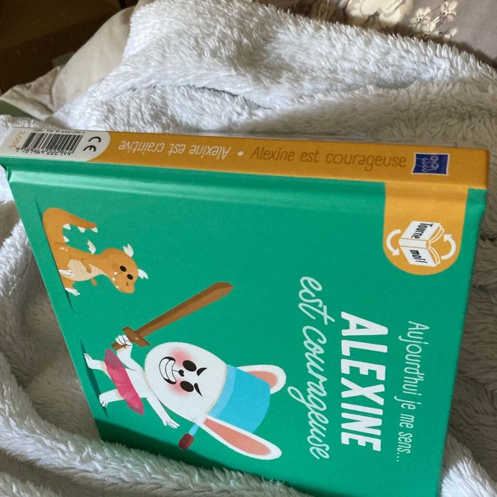 Livre aujourd’hui je me sens Alexine est courageuse - photo numéro 4