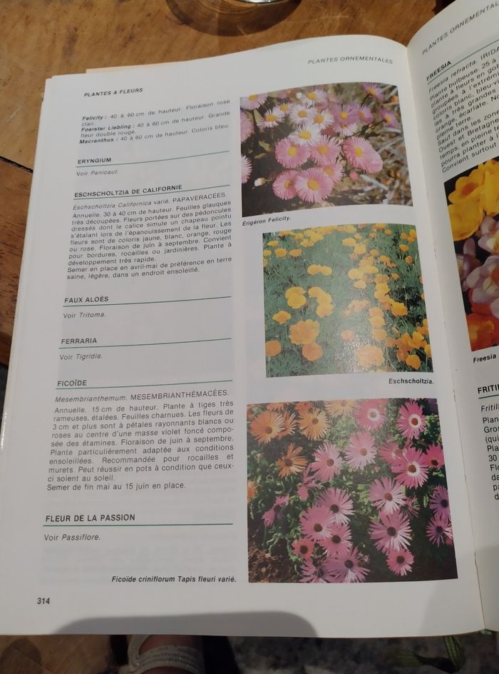 Comment on soigne mon jardin - photo numéro 2
