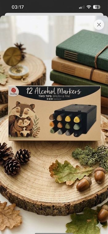 Rare! Set 12 Feutres à Alcool DécoTime – Illustration Raton Laveur – NEUF