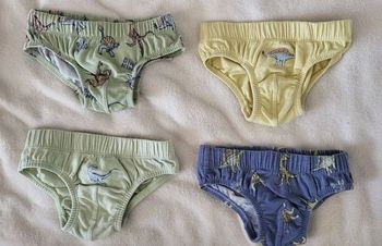 Lot de 4 slips 2-3 ans