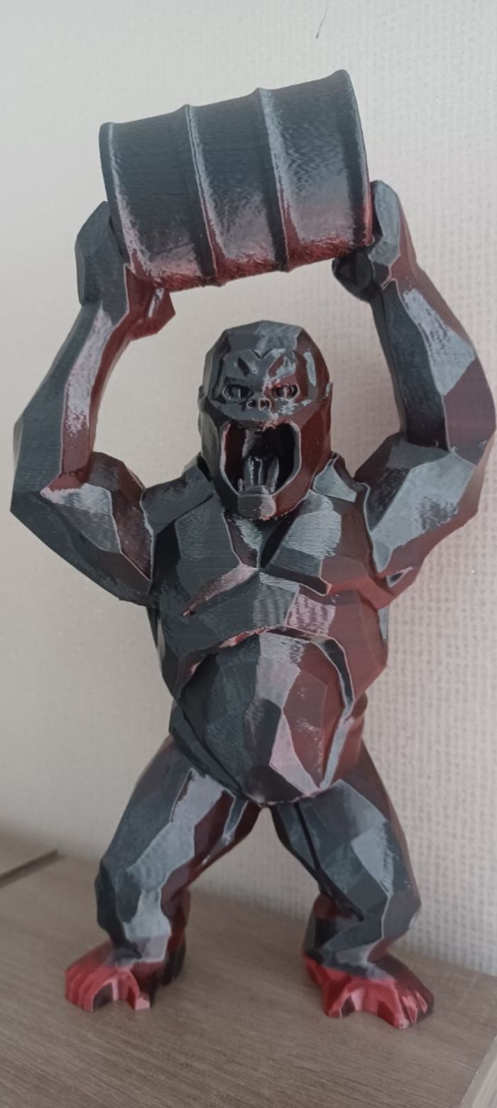 Gorille - photo numéro 5