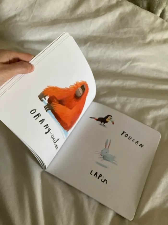 Le livre des animaux - l’école des loisirs - photo numéro 3