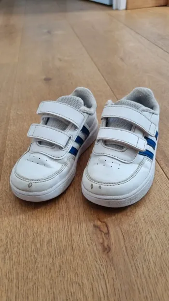 Baskets Adidas 23